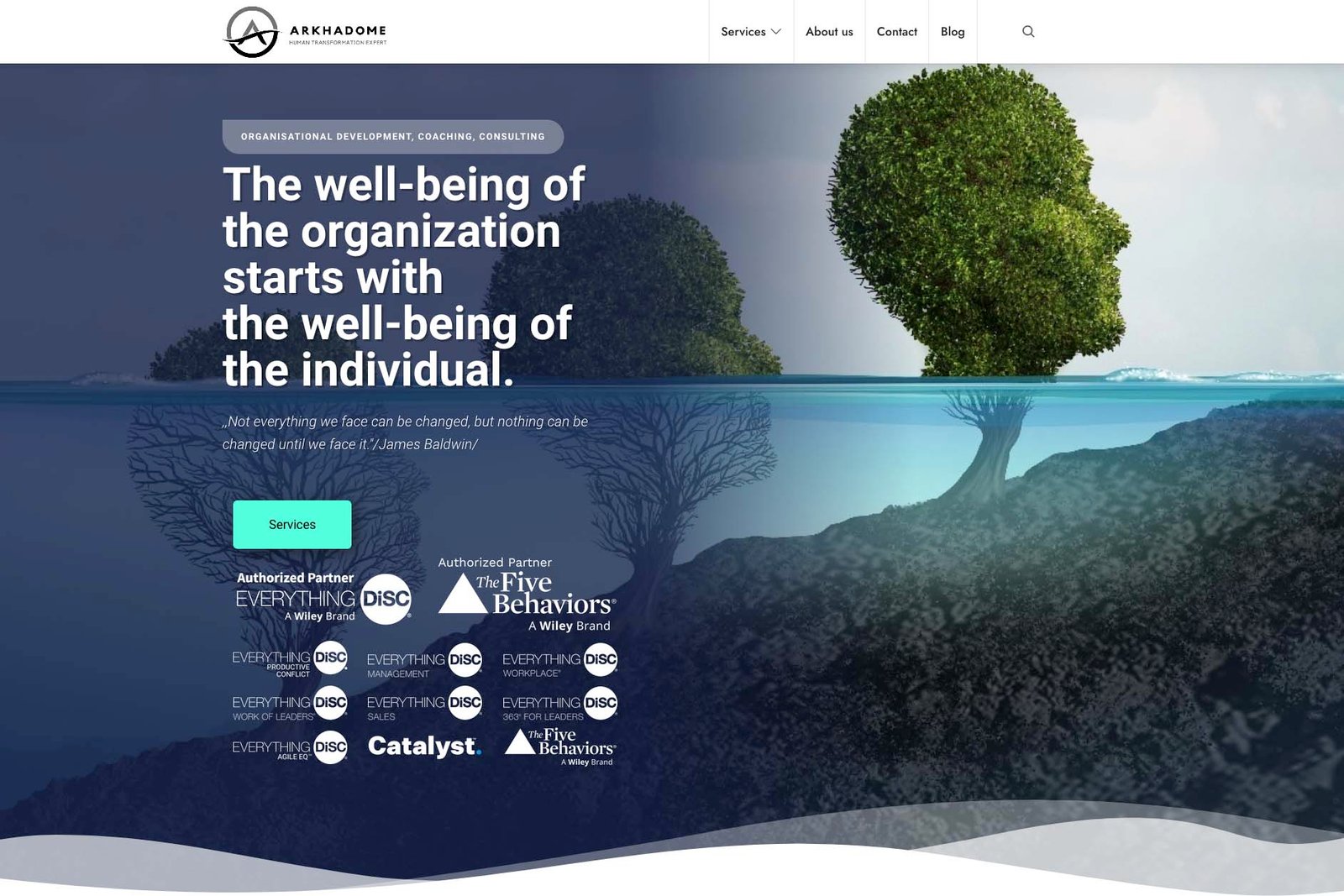 website building and search engine
